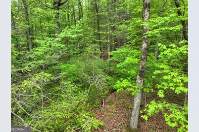 300 River Road, Cherrylog, GA 30522 - Photo 80