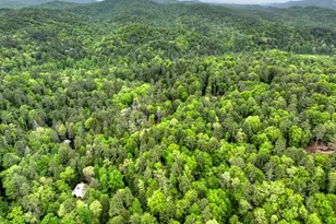 300 River Rd, Cherrylog, GA 30522 - Photo 102