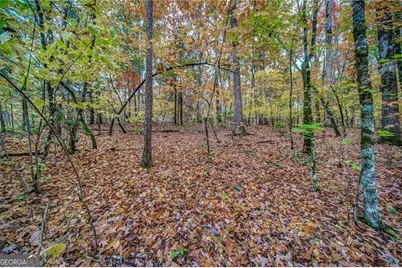 543 Cove Lake Drive #19, Marble Hill, GA 30148 - Photo 2