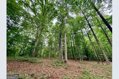 8474 Holly Springs Road, Maysville, GA 30558 - Photo 138