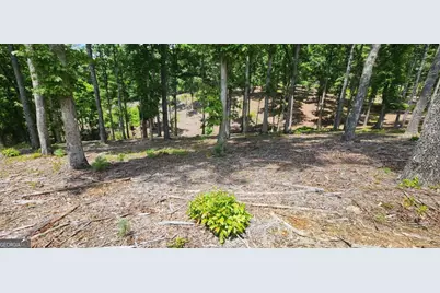 Lt 106 Split Creek Road #106, Morganton, GA 30560 - Photo 6