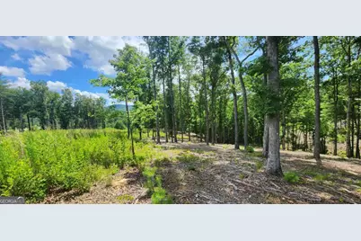 Lt 106 Split Creek Road #106, Morganton, GA 30560 - Photo 2