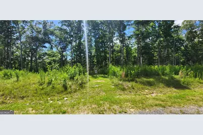 Lt 106 Split Creek Road #106, Morganton, GA 30560 - Photo 4