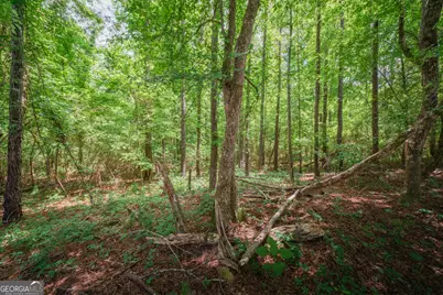 0 Old Haul Road, Dry Branch, GA 31020 - Photo 14