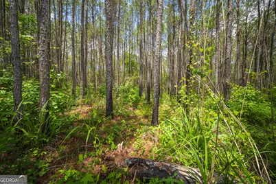 0 Old Haul Road, Dry Branch, GA 31020 - Photo 12