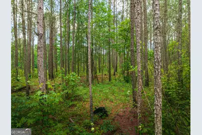 0 Old Haul Road, Dry Branch, GA 31020 - Photo 6