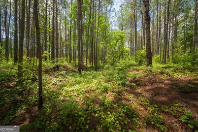 0 Old Haul Road, Dry Branch, GA 31020 - Photo 10