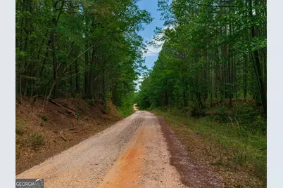 0 Old Haul Road, Dry Branch, GA 31020 - Photo 4