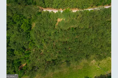 0 Old Haul Road, Dry Branch, GA 31020 - Photo 2