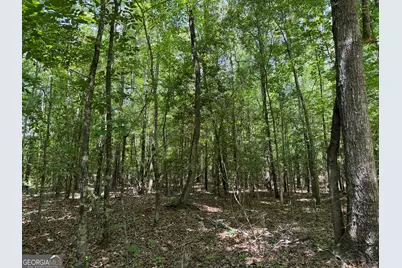 011 Long Branch Rd, Toomsboro, GA 31090 - Photo 6
