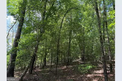 011 Long Branch Rd, Toomsboro, GA 31090 - Photo 12