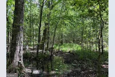 011 Long Branch Rd, Toomsboro, GA 31090 - Photo 4