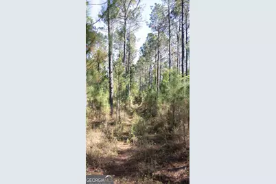 0 Reedy Branch Road, Statesboro, GA 30458 - Photo 14