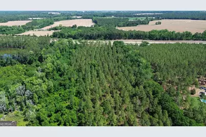 0 Reedy Branch Road, Statesboro, GA 30458 - Photo 12