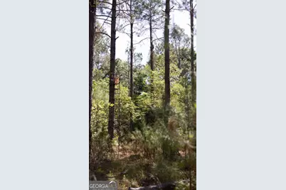 0 Reedy Branch Road, Statesboro, GA 30458 - Photo 18