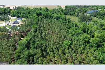 0 Reedy Branch Road, Statesboro, GA 30458 - Photo 4