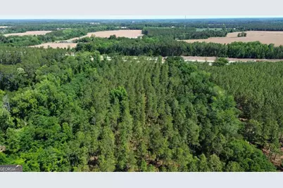 0 Reedy Branch Road, Statesboro, GA 30458 - Photo 6