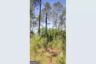 0 Reedy Branch Road, Statesboro, GA 30458 - Photo 16