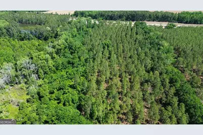 0 Reedy Branch Road, Statesboro, GA 30458 - Photo 2