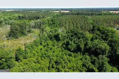 0 Reedy Branch Road, Statesboro, GA 30458 - Photo 1
