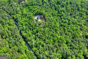 200 Fowler Rd, Ellijay, GA 30536 - Photo 38