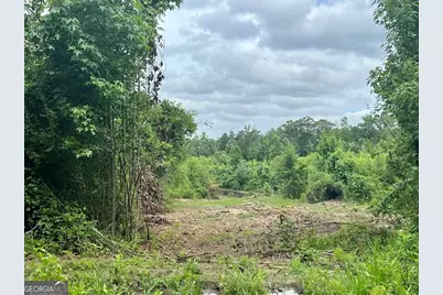 000 Folds Rd (Tract D 22.67 Acres), Carrollton, GA 30116 - Photo 2