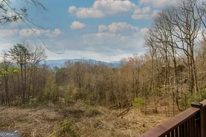 97 Fox Mountain Crossing Road, Blue Ridge, GA 30513 - Photo 14