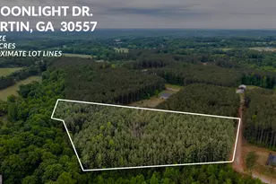 0 Moonlight Dr, Martin, GA 30557 - Photo 1