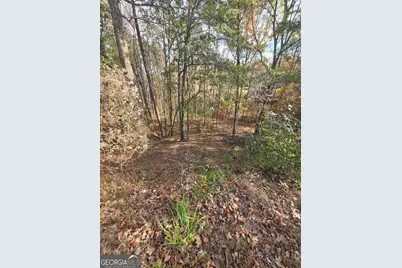 2412 Snowshoe Bend, Bethlehem, GA 30620 - Photo 1