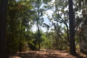 569 Crooked River Dr, Woodbine, GA 31569 - Photo 26