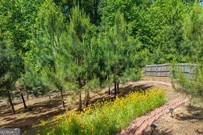 6024 Park Bay Court, Flowery Branch, GA 30542 - Photo 52