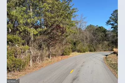 0000000 Liberty Church Road, Ranger, GA 30734 - Photo 10