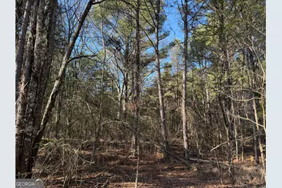 0000000 Liberty Church Road, Ranger, GA 30734 - Photo 18