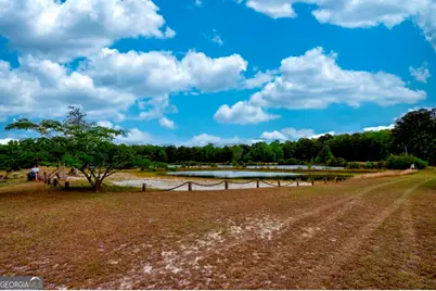 2171 Prather Road, Statesboro, GA 30461 - Photo 14