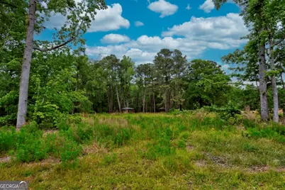 2171 Prather Road, Statesboro, GA 30461 - Photo 42