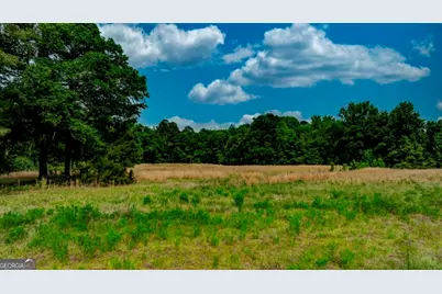 2171 Prather Road, Statesboro, GA 30461 - Photo 40
