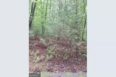 Lot 14 Noontootla Ridge Court, Blue Ridge, GA 30513 - Photo 4