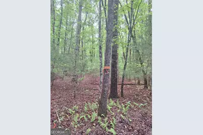 Lot 14 Noontootla Ridge Court, Blue Ridge, GA 30513 - Photo 2