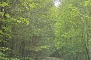 Lot 14 Noontootla Ridge Ct, Blue Ridge, GA 30513 - Photo 1