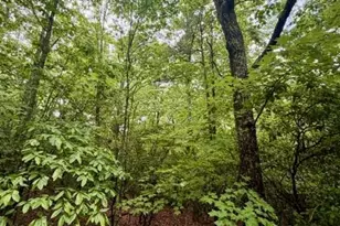 0 Soaring Hawk Trail, Cleveland, GA 30528 - Photo 10