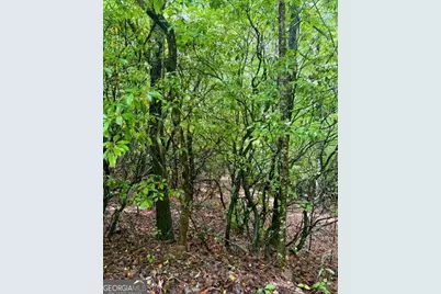 00 Soaring Hawk Trail, Cleveland, GA 30528 - Photo 12