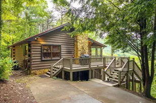 399 Laurel Mountain Road, Blue Ridge, GA 30513 - Photo 42
