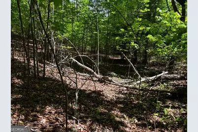 Lot 43 Edgewood Trail, Blairsville, GA 30512 - Photo 6