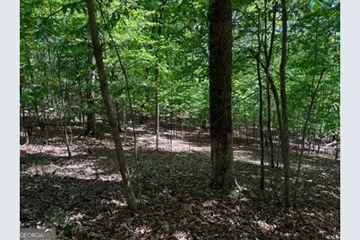 Lot 43 Edgewood Trail, Blairsville, GA 30512 - Photo 10