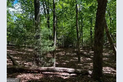 Lot 43 Edgewood Trail, Blairsville, GA 30512 - Photo 2