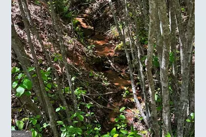 Lot 43 Edgewood Trail, Blairsville, GA 30512 - Photo 8