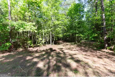 0 Apt-To-Miss Road, Monticello, GA 31064 - Photo 32