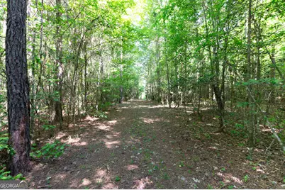 0 Apt-To-Miss Road, Monticello, GA 31064 - Photo 30