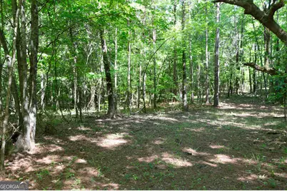 0 Apt-To-Miss Road, Monticello, GA 31064 - Photo 38