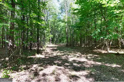 0 Apt-To-Miss Road, Monticello, GA 31064 - Photo 40